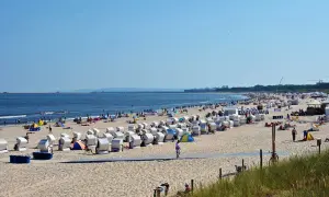 Plaża nad Bałtykiem z rzędami koszy plażowych, ludźmi i morzem w tle.