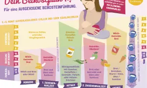 Dein Beikostplan zeigt, wie Babys ab dem 4.-6. Monat schrittweise an feste Nahrung gewöhnt werden.