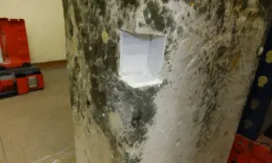 Schimmel hinter Rigips vermeiden: Die Wand zeigt deutlichen Schimmelbefall. Ein Werkzeugkasten liegt im Hintergrund.