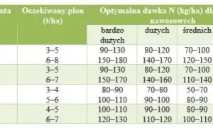 Optymalne nawożenie żyta: Dawki NPK, terminy i błędy