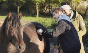 Chłopiec szczotkuje grzbiet małego konia, podczas gdy kobieta stoi obok i uśmiecha się.