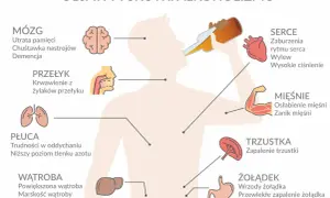 Ilustracja pokazuje skutki alkoholizmu dla mózgu, serca, płuc, wątroby, żołądka, trzustki, mięśni i przełyku.