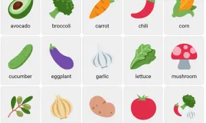 Tarjetas con imágenes de aguacate, brócoli, zanahoria, chile, maíz, pepino, berenjena, ajo, lechuga, champiñón, aceitunas, cebolla, patata, tomate y una verdura.