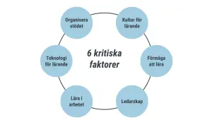 Diagrammet visar 6 kritiska faktorer för lärande: Kultur, Förmåga att lära, Ledarskap, Lära i arbetet, Teknologi och Organisera stödet. Dessa är viktiga ledord exempel för framgångsrik utveckling.