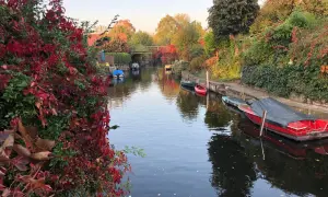 Herbstliche Idylle am Kanal in Berlin, fast wie neu Venedig. Boote liegen vertäut, rote Weinblätter schmücken das Ufer.