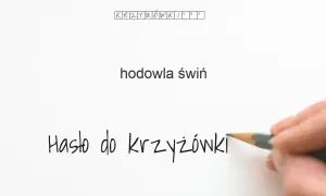 Hodowla świń jak się nazywa? Różnice między hodowlą a chowem