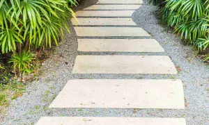 Viale carrabile in cemento serpeggia tra piante verdi lussureggianti, creando un percorso invitante.