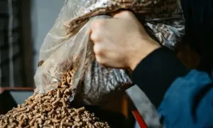 Ręka wsypuje pellet z worka. Zastanawiasz się, jaki pellet polecacie forum?