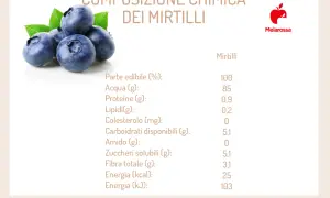 Composizione chimica dei mirtilli: 25 kcal per 100g. Dati nutrizionali completi.