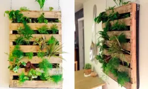 Zielona ściana DIY: Ogród wertykalny z palet i butelek poradnik