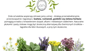 Szałwia czy rumianek na dziąsła? Które zioło ukoi ból i stan zapalny?