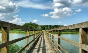 Nowe Miasto Lubawskie: Perła Ziemi Lubawskiej co warto zobaczyć?