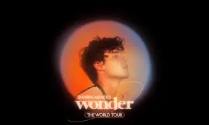 Shawn Mendes Wonder The World Tour – artystyczny portret artysty w ciepłym świetle.