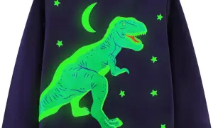 Bluza z dinozaurem dla chłopca: Jak wybrać hit, który pokocha?