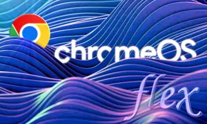 Logo Chrome OS i napis "flex" na tle falujących, niebieskich linii. System operacyjny Chrome OS w nowej, elastycznej odsłonie.