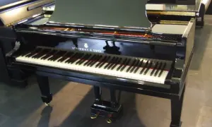 Cena Steinway & Sons: Ile kosztuje nowy i używany fortepian?