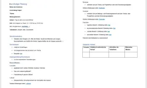 Vorlage für die projektplanung kindergarten mit Feldern für Ziele, Analyse und geplanten Verlauf.