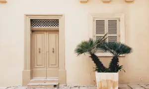 Fachada color crema con puerta doble beige y palmera en maceta.