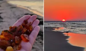 Dłoń trzymająca bursztyny, skarb znaleziony na plaży podczas zachodu słońca. Każdy przezroczysty kamień z morza lśni w ciepłym świetle.