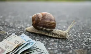 Ile ślimaków na m2 to plaga? Liczby, które musisz znać!