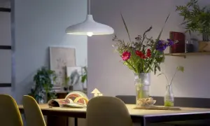 Żarówka energooszczędna Philips 18W - najlepsze modele i ceny
