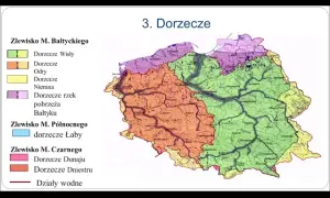 Ile rzek wpływa do Bałtyku? Odkryj ich znaczenie i długość