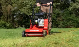 Wertykulacja jesienna: Jak przygotować trawnik na zimę i wiosnę?