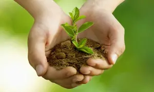 Mani che sorreggono una piantina. Come capire se uno psicologo è bravo: cerca chi nutre la tua crescita.