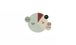 Diagram visar färgfördelning med ljusa toner: 60% basfärg, 30% färg, 10% accent och B/W.