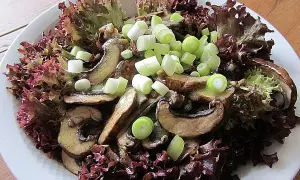 Lollo Rosso: Gesund, knackig & einfach zubereitet | Tipps & Rezepte