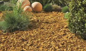 Ein schön angelegtes Beet mit Rindenmulch, Ziergräsern und dekorativen Kugeln.