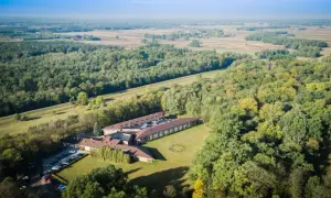 Termy Uniejów kiedy powstały - historia i rozwój uzdrowiska