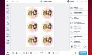 Ekran programu Epson Photo+ z widokiem sześciu okrągłych naklejek z kotami i opcjami drukowania.