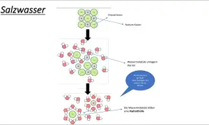 Salzwasser: Chlorid-Anionen und Natrium-Kationen werden von Wassermolekülen umlagert. Was sind Ionen? Sie bilden eine Hydrathülle.