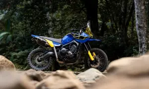 Niebiesko-żółty motocykl typu adventure stoi na tle lasu, z kamieniami na pierwszym planie.