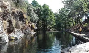 Un hombre camina por el borde de piscinas naturales cerca de la alberca, rodeadas de rocas y vegetación frondosa.