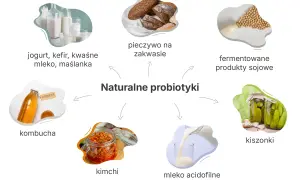 Naturalne probiotyki pomagają jak odgrzybic organizm u dziecka. Wśród nich: jogurt, kefir, kiszonki, kombucha, pieczywo na zakwasie, mleko acidofilne, fermentowane produkty sojowe.