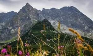 Gdzie najlepiej jechać w góry? Odkryj ukryte skarby Polski