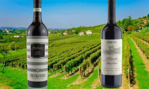 Due bottiglie di vini piemontesi famosi, Barbaresco e Barolo, in primo piano con un paesaggio di vigneti sullo sfondo.