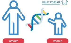 Kto płaci za badania DNA zlecone przez sąd? Poznaj zasady i wyjątki