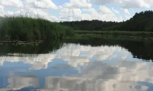 Jezioro Hańcza: Najgłębsze jezioro Polski odkryj jego sekrety