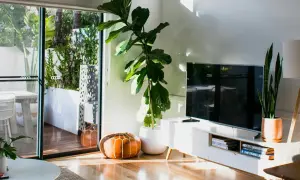 Co nad telewizorem? 10+ pomysłów na stylową ścianę w salonie