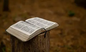 Otwarta Biblia na pniu drewna, szukamy w niej biblijne imię Boga.