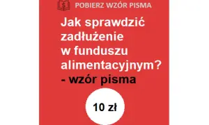 Jak szybko sprawdzić zadłużenie alimentacyjne i uniknąć przykrych konsekwencji