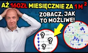 Ile można zarobić na wynajmie busa? Sprawdź, co wpływa na zyski