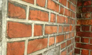 Cegły wystające co druga w murze – jak uniknąć błędów w budowie