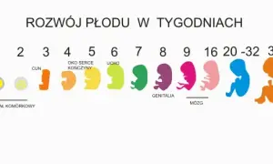 Poród i jego znaczenie dla rozwoju dziecka – co warto wiedzieć?