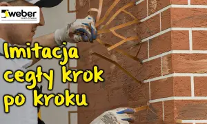 Jak oczyścić cegłę z tynku: 8 skutecznych metod i ostrzeżeń