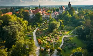 Ujazdów: Co warto zobaczyć i zwiedzić w miejscowości Ujazdów?