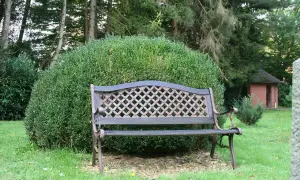 Jak dopasować kolor mebli ogrodowych do stylu ogrodu?